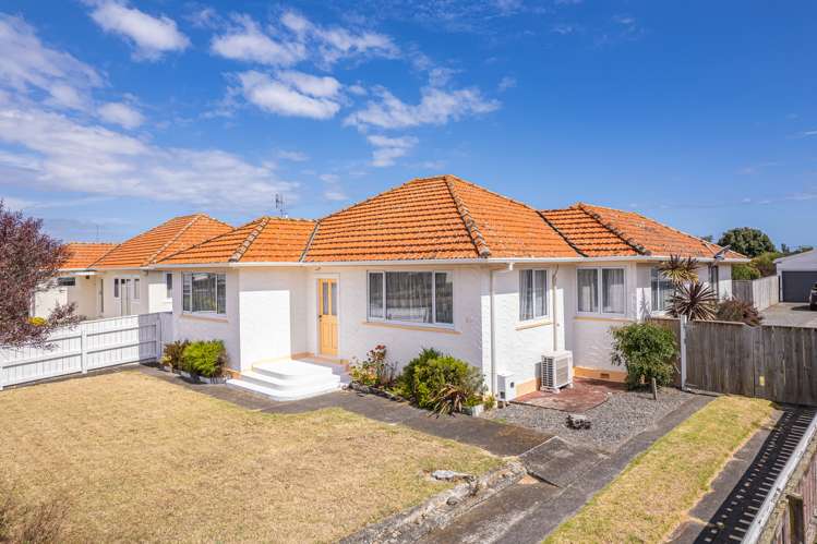 87 Carlton Avenue Tawhero_19