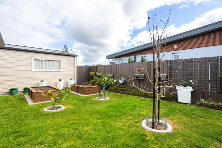 5 Cobham Lane Whitianga_17