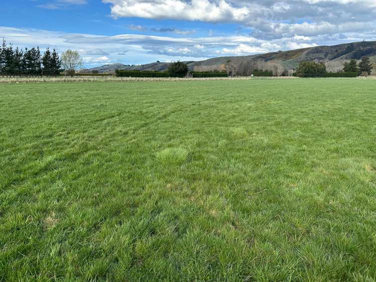 130 Bruce Road Momona_8