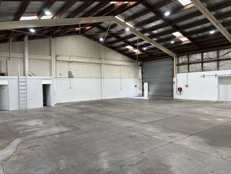 31 Carnegie Road Onekawa_2