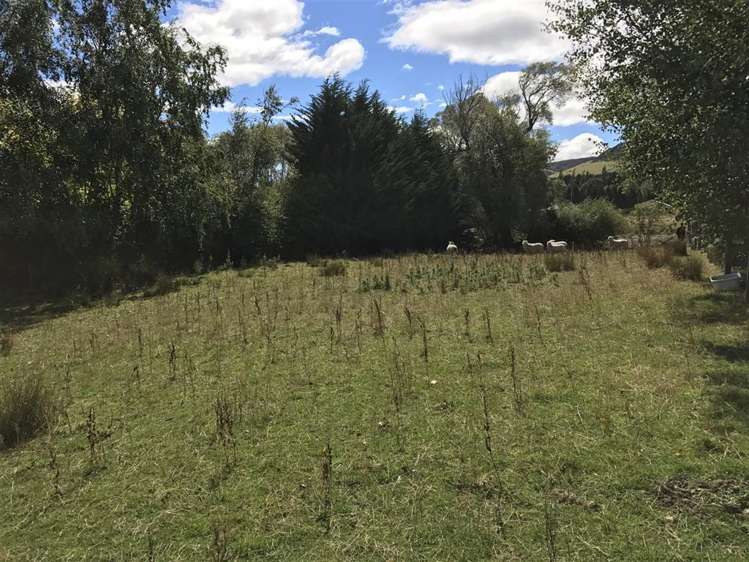 56 Farm Street Lumsden_5