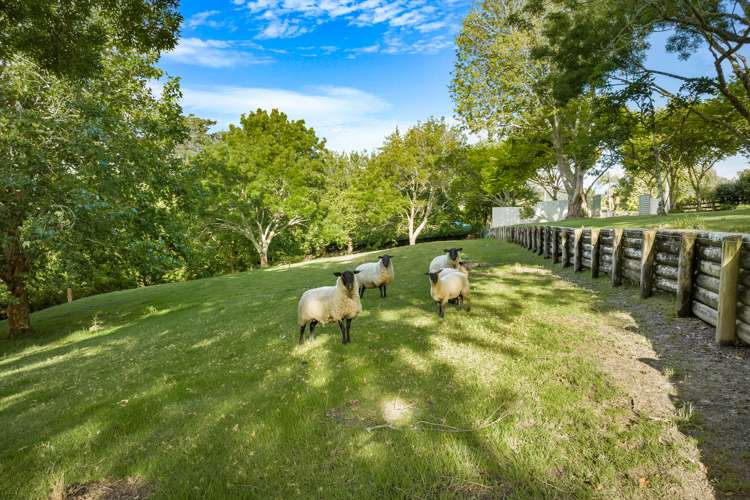 130 Sandspit Road Warkworth_13