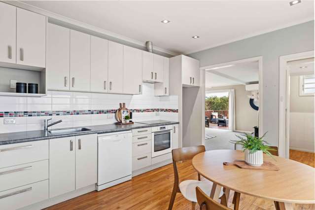 141 Jeffery Street Andersons Bay_2