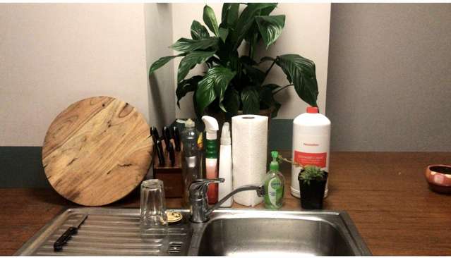 14/3 King Street Mount Cook_2