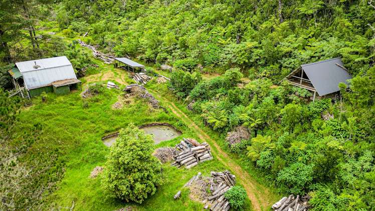 36 Caton Road Waitakere_14