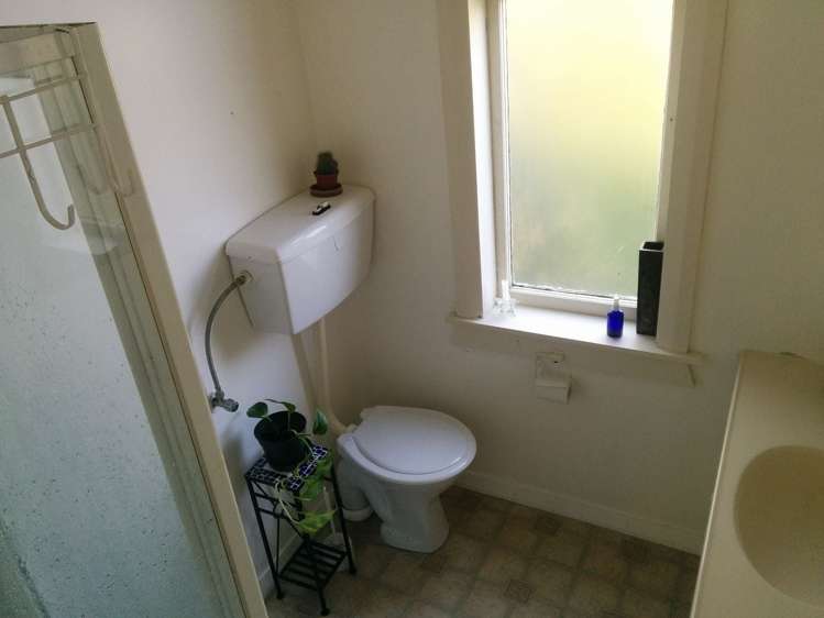 6A Semeloff Terrace Aro Valley_6