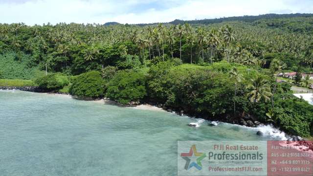 Unbelievable Opportunity!!  1 Acre of almost waterfront freehold land perfect for Airbnb, tourism activities or your dream home