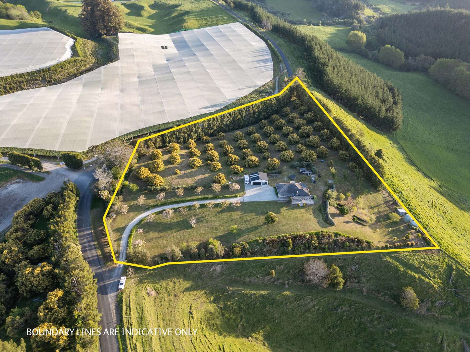 1030 Maniatutu Road Pongakawa_0