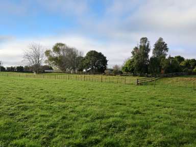 111 Pearson Road_3