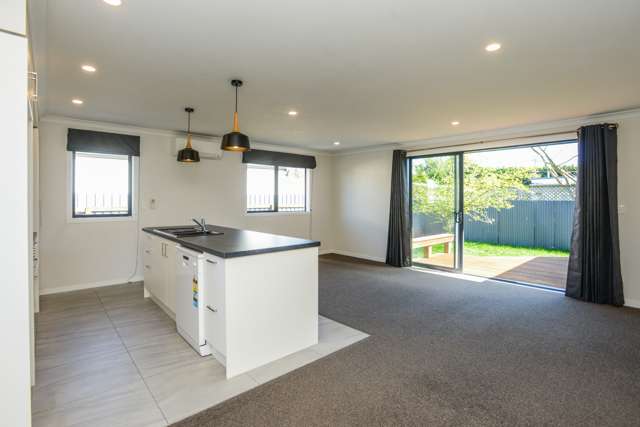 900a Rimu Street Mahora_3