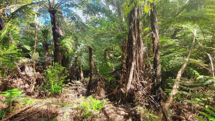 101a Peria Road Peria_12