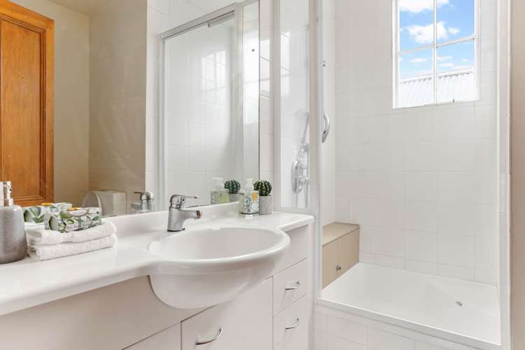 3 Elam Street Parnell_22