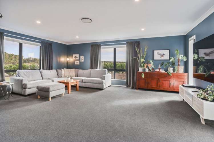 357 Pesters Road Eyrewell Forest_10