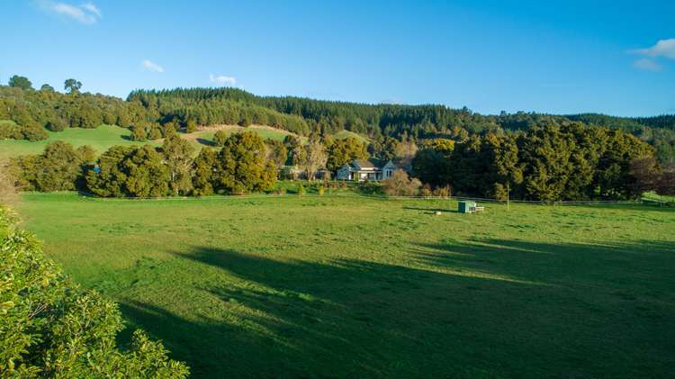 349 Wakefield-Kohatu Highway Wakefield_24