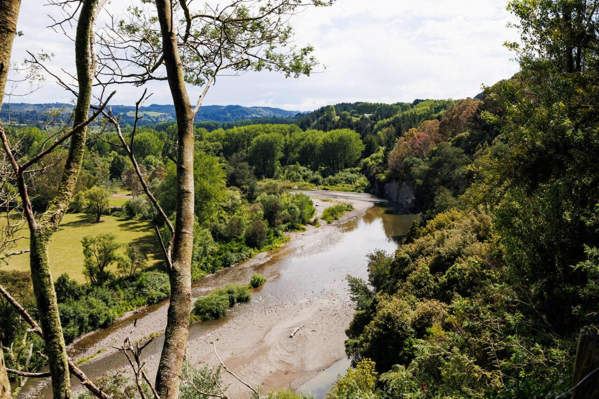 124 Awahou South Road_5