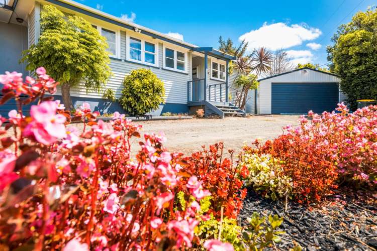 290 Shanks Road Helensville_18
