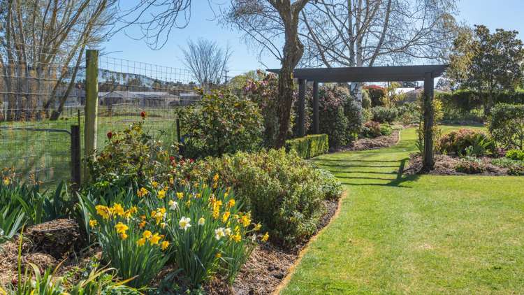 39 Montrose Avenue Culverden_21