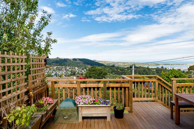 46 Barclay Street Liberton Dunedin City Houses for Sale One Roof
