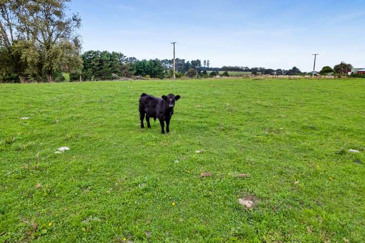 Whakamara Road Hawera_8