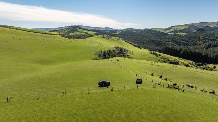 614 Omihi Road Omihi_8