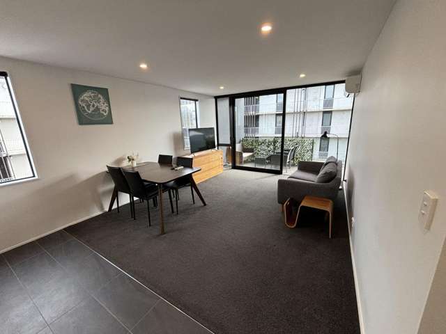 Top Level Executive inner city apartment