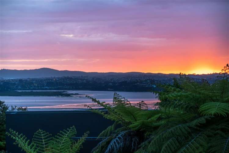 40 Mayall Avenue Beach Haven_19