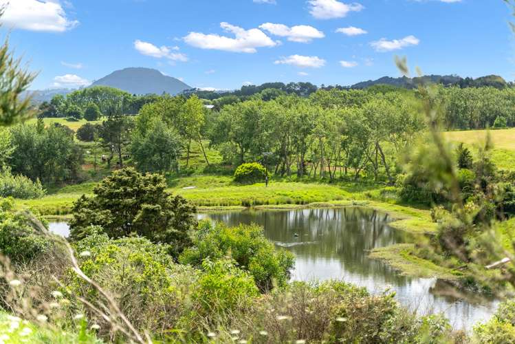 100E Hodge Road Ruatangata West_19