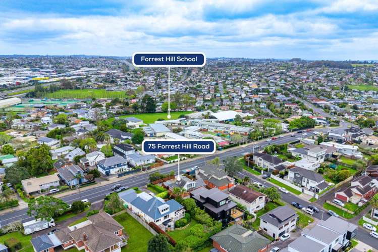 75 Forrest Hill Road Milford_8