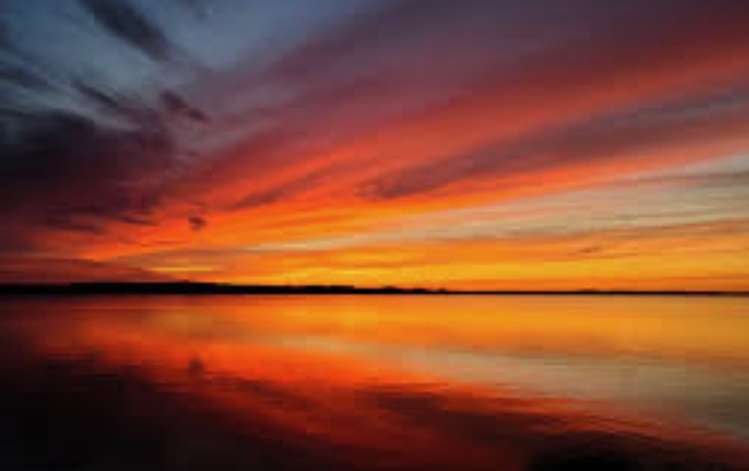 14 Matuku Place Atawhai_0