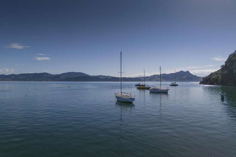 995F Purangi Road Cooks Beach_31