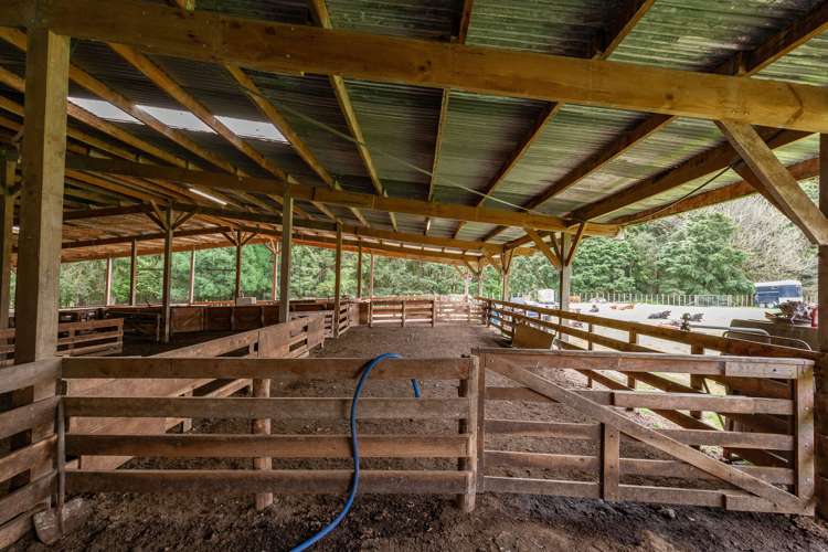 1094 Oio Road Owhango_22