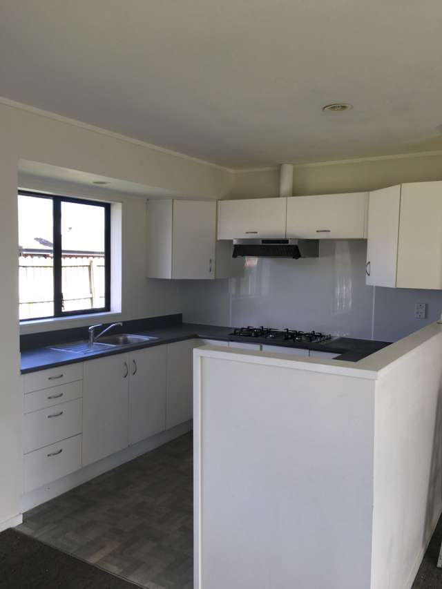 25 Michael Jones Drive Flat Bush_1