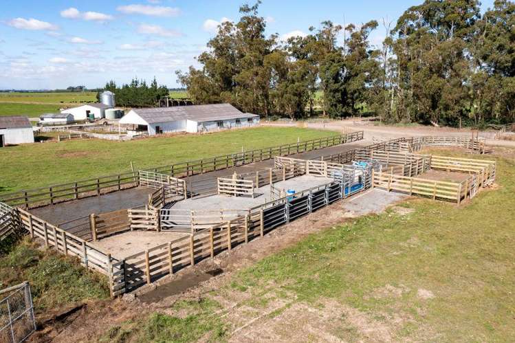 1329 Wards Road Darfield_9