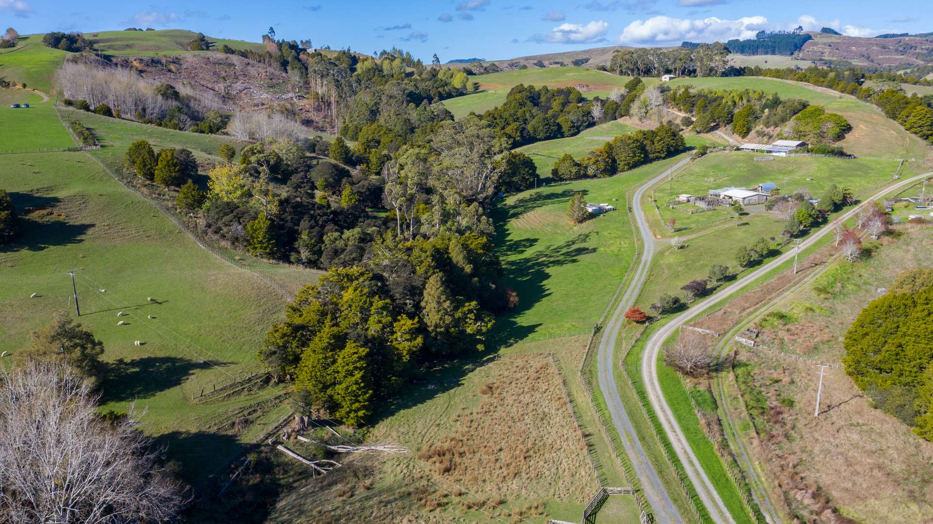 6 Millett Road Whangaripo_0
