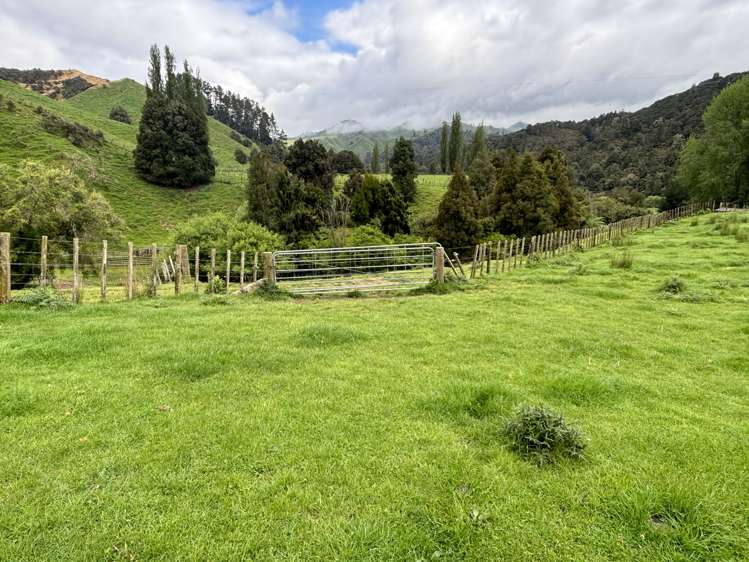 166 Saddler Road Taumarunui_17