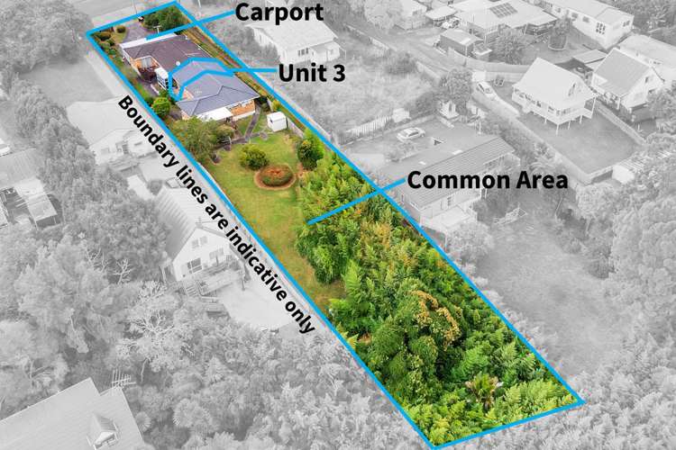 3/113 Seabrook Avenue New Lynn_14