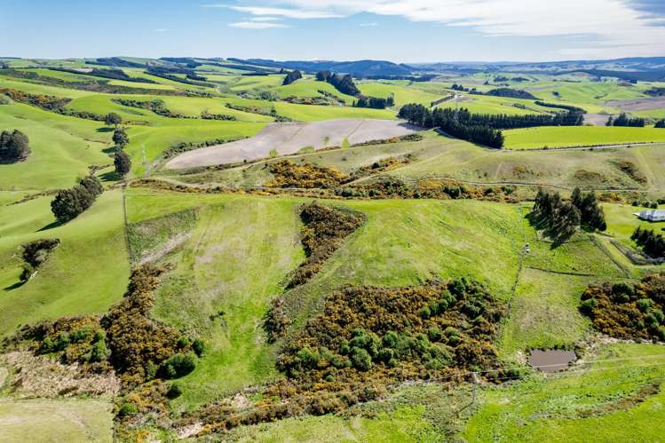 Lot 3 Crichton Road_5