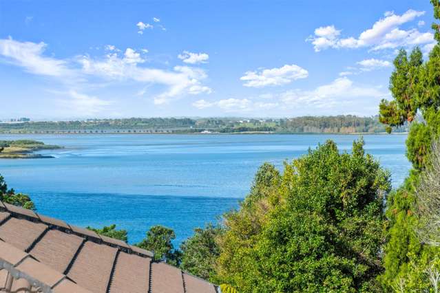 26 Aldersgate Road Hillsborough_2