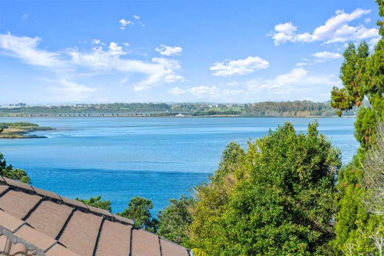 26 Aldersgate Road Hillsborough_2