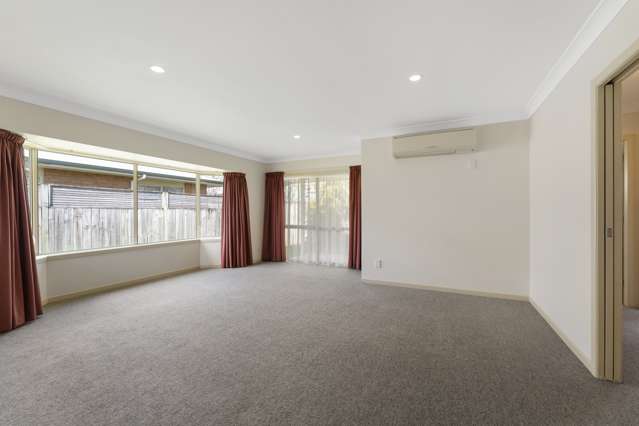 24B Reeve Street Levin_4