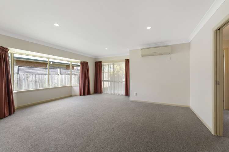 24B Reeve Street Levin_3