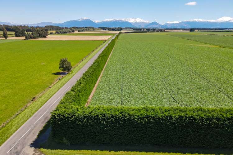 3239 Thompsons Track Ashburton Forks_7