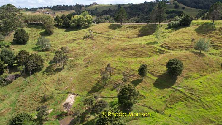 318 Franklin Road Paparoa_59