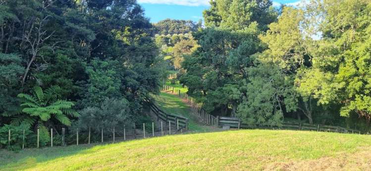 42a Brooke Lane Mangawhai_8