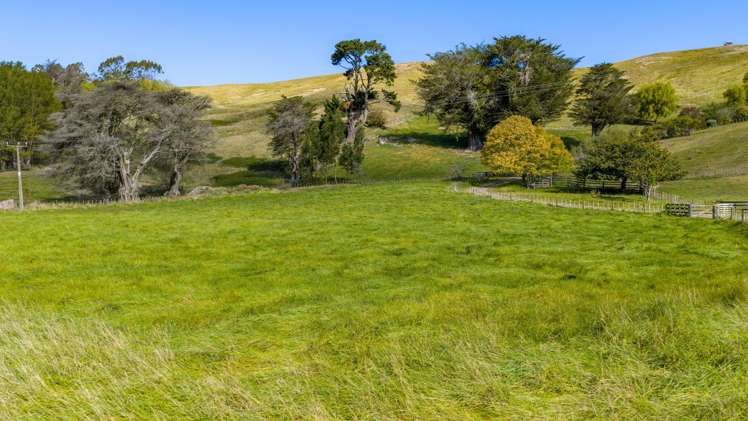Lot 2, 127 Ongaonga Road Waipawa_5