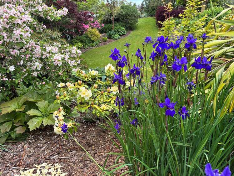 118 Waitepeka Road Waitepeka_30