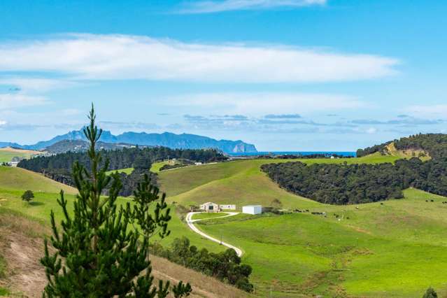 Lots 1&2/132B Garbolino Road Mangawhai_1