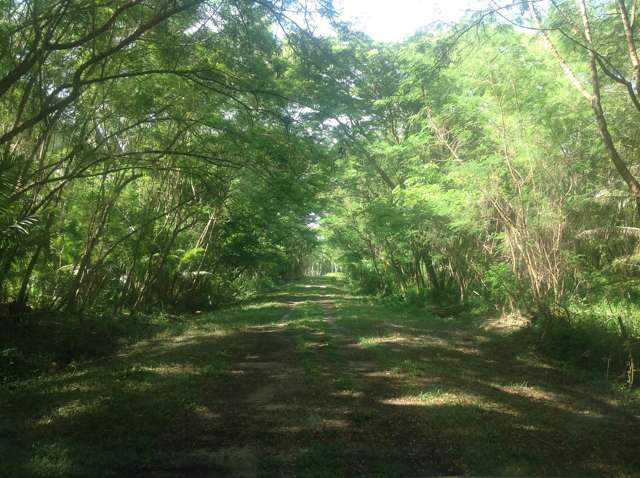 Address withheld Vanua Levu_3