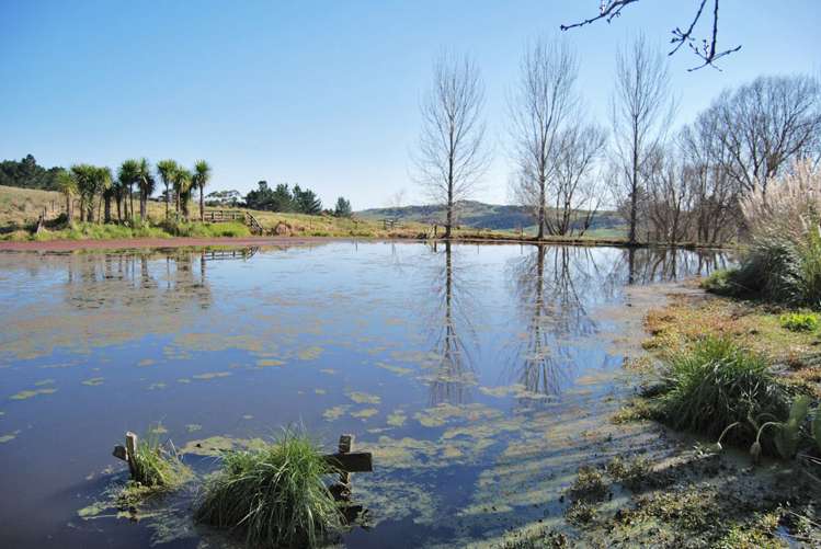 1216 Oneriri Road Kaiwaka_6