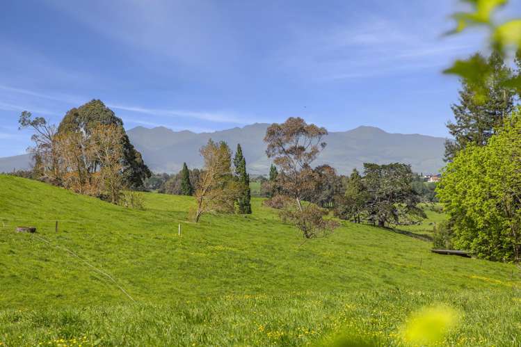 24 Rowe Road Whatawhata_11